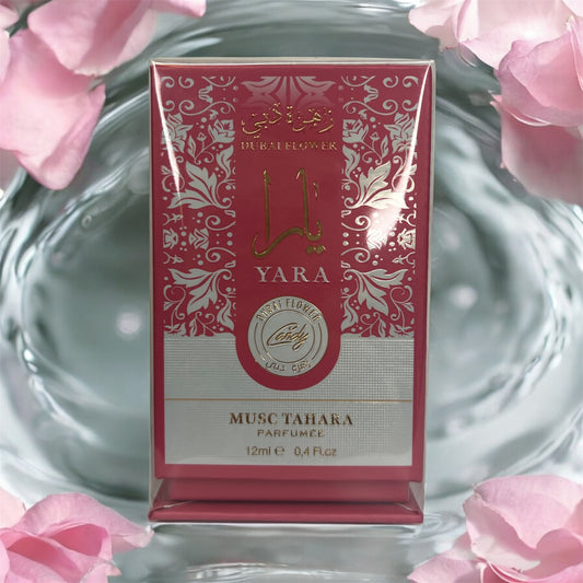 MUSC YARA CANDY – Dubai Flowers