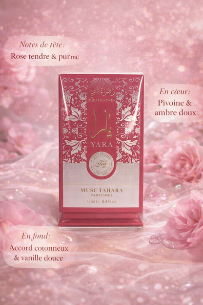 MUSC YARA CANDY – Dubai Flowers